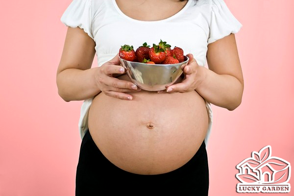 Dâu tây tốt cho sức khỏe mẹ bầu và em bé